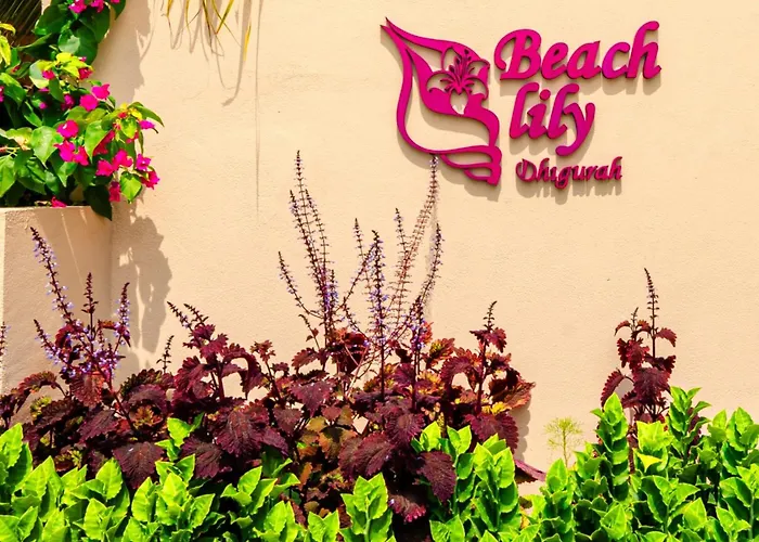 Beach Lily Dhigurah